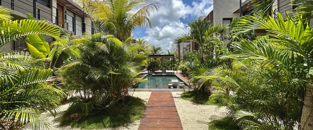 Tropical courtyard with wooden boardwalk leading to swimming pool, flanked by palm trees and modern residences with pergolas