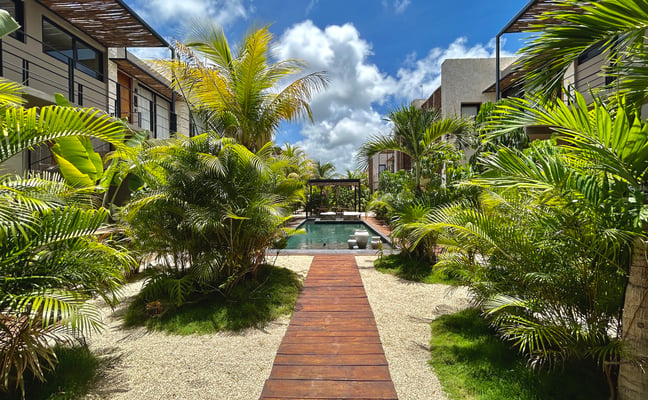 Tropical courtyard with wooden walkway leading to swimming pool, flanked by palm trees and modern buildings with pergolas